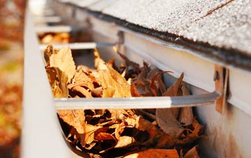 Mayfair gutter cleaning companies